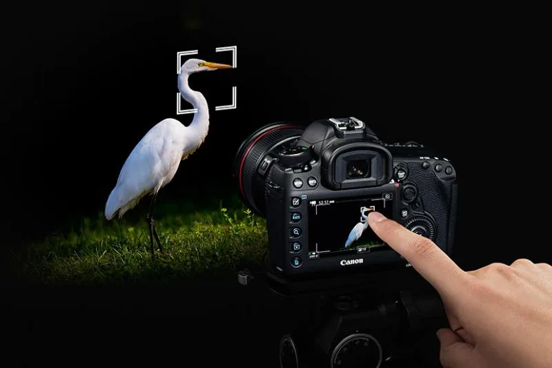 سیستم فوکوس دوربین عکاسی کانن Canon 5D Mark IV Body