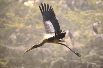 لنز سیگما 200-70