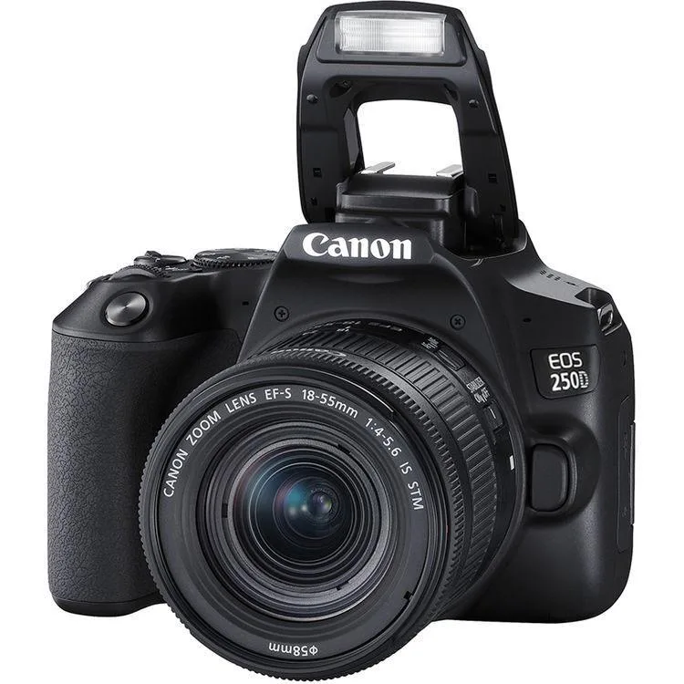 دوربین عکاسی کانن Canon 250D 18-55 IS STM — تصویر 3