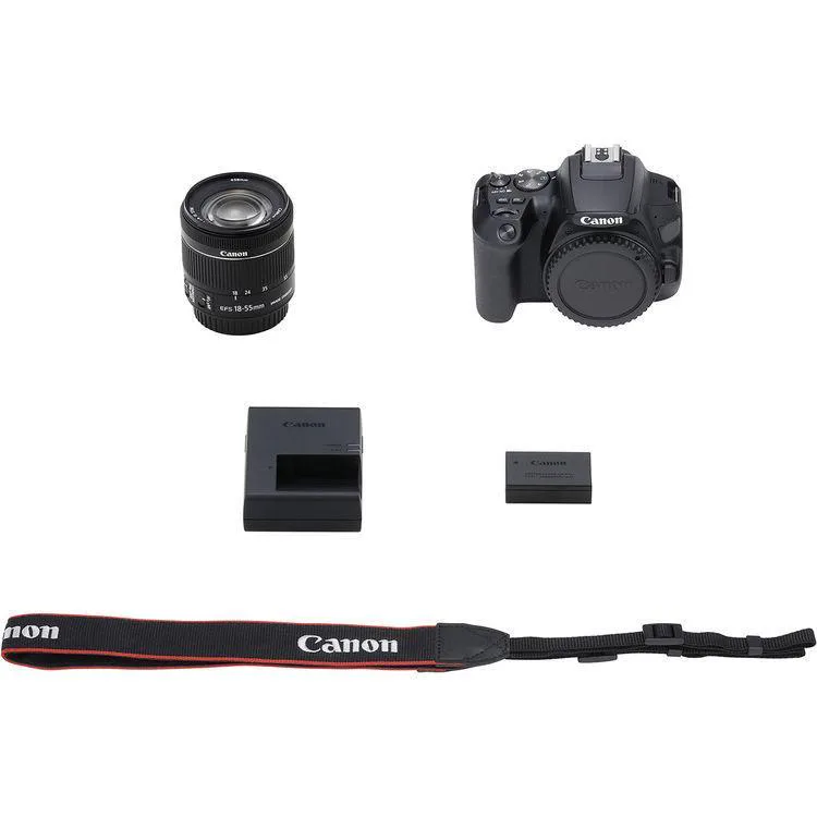 دوربین عکاسی کانن Canon 250D 18-55 IS STM — تصویر 10