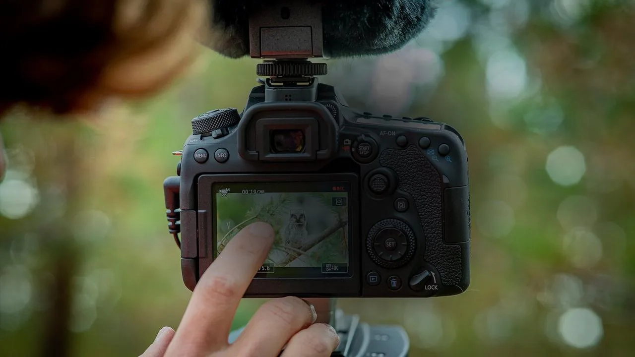 عکس از دوربین 90d canon