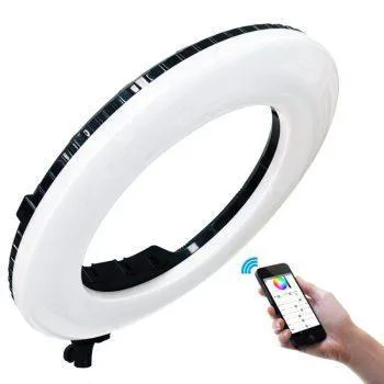 QS-480D II