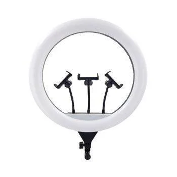 رینگ لایت Ring Light JL-F388 + پایه 803