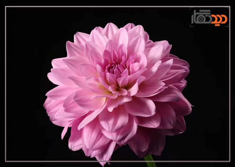 لنز کانن Canon RF 70-200mm f/2.8 L IS USM Z Lens White و کیفیت تصویر